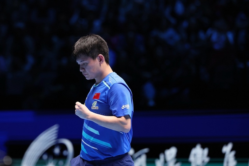 热度居高不 热度居高不