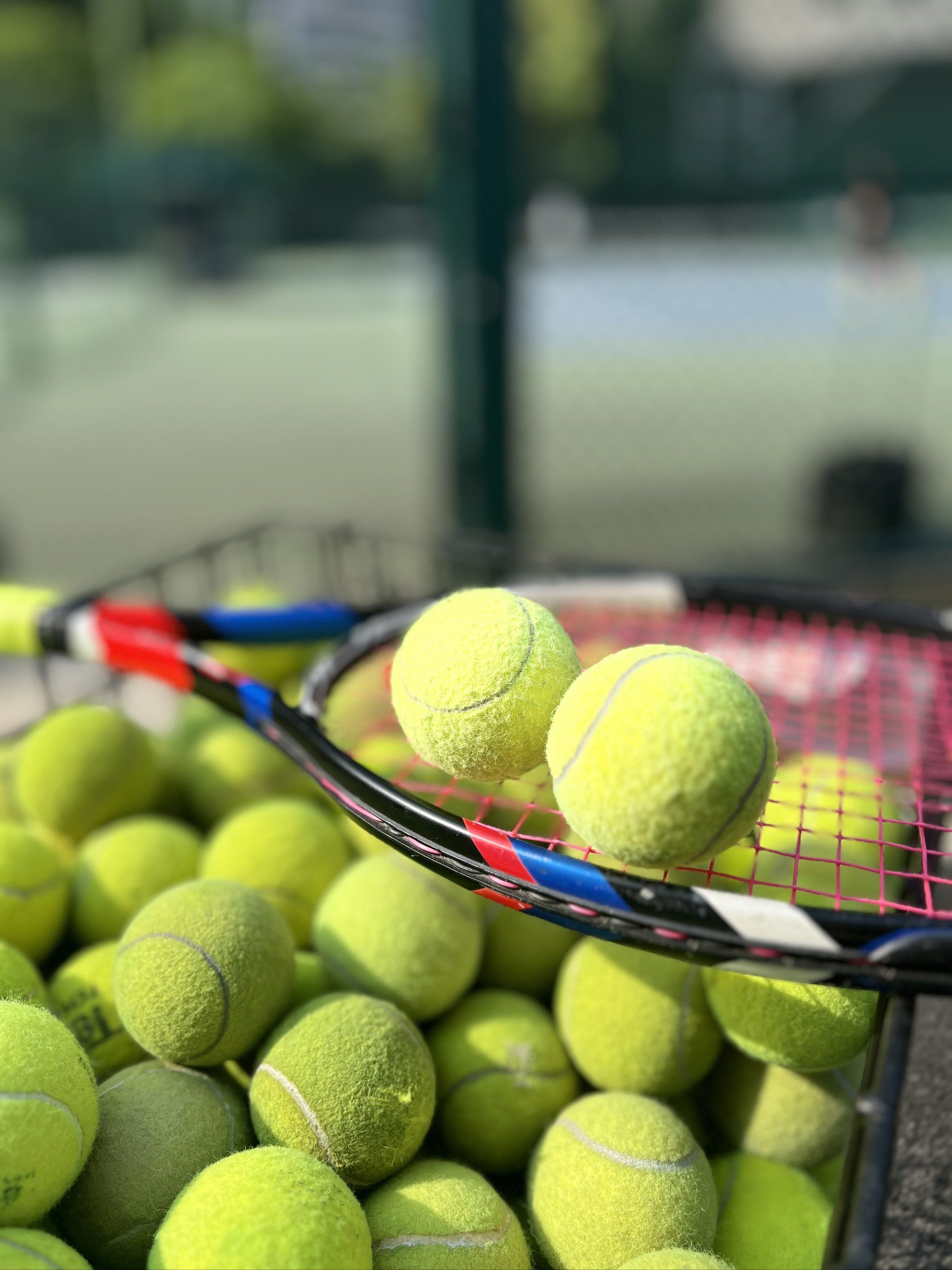 美因茨一旦 美因茨一旦