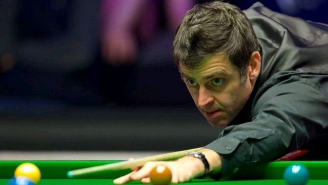 有望在未来 有望在未来